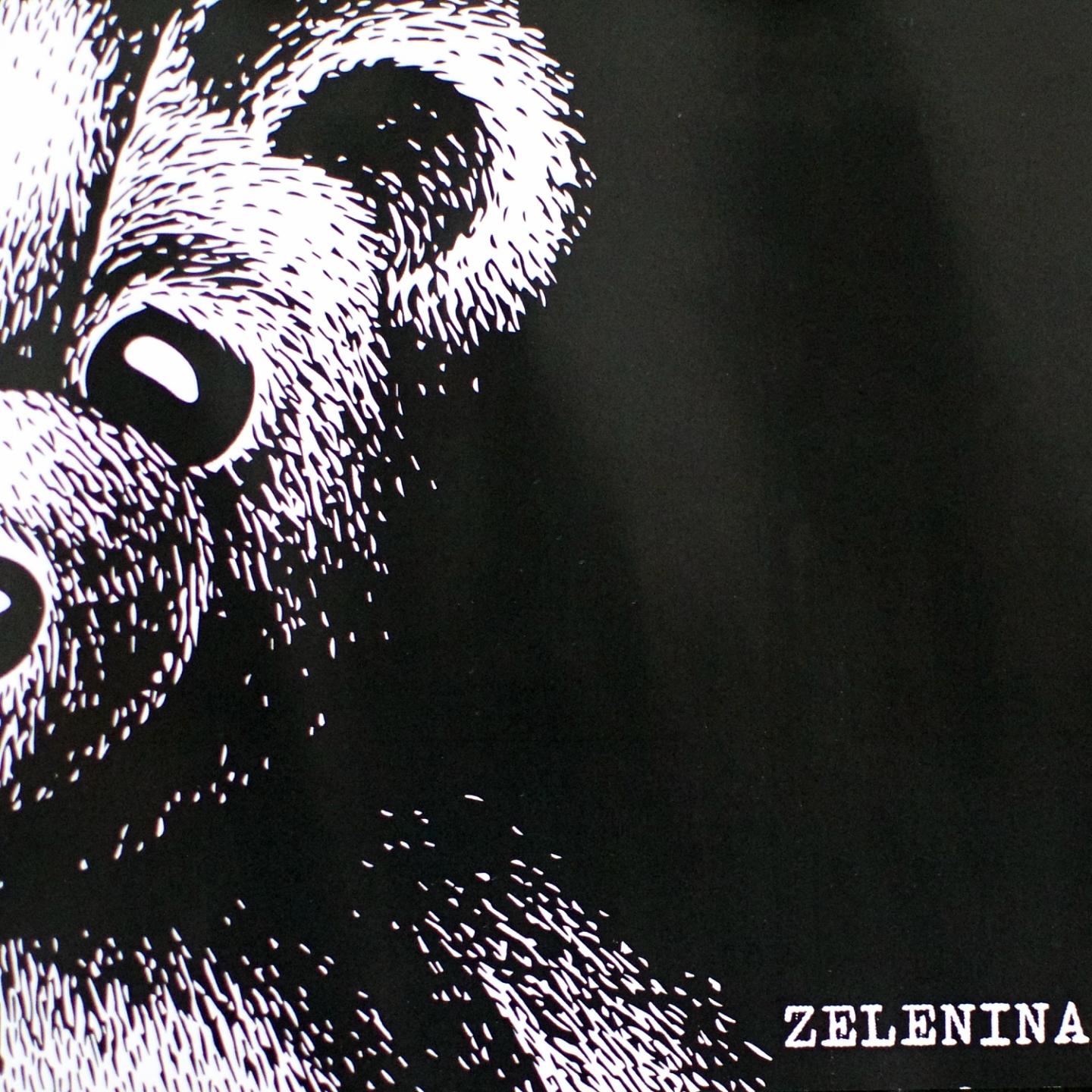 Постер альбома Zelenina 2013