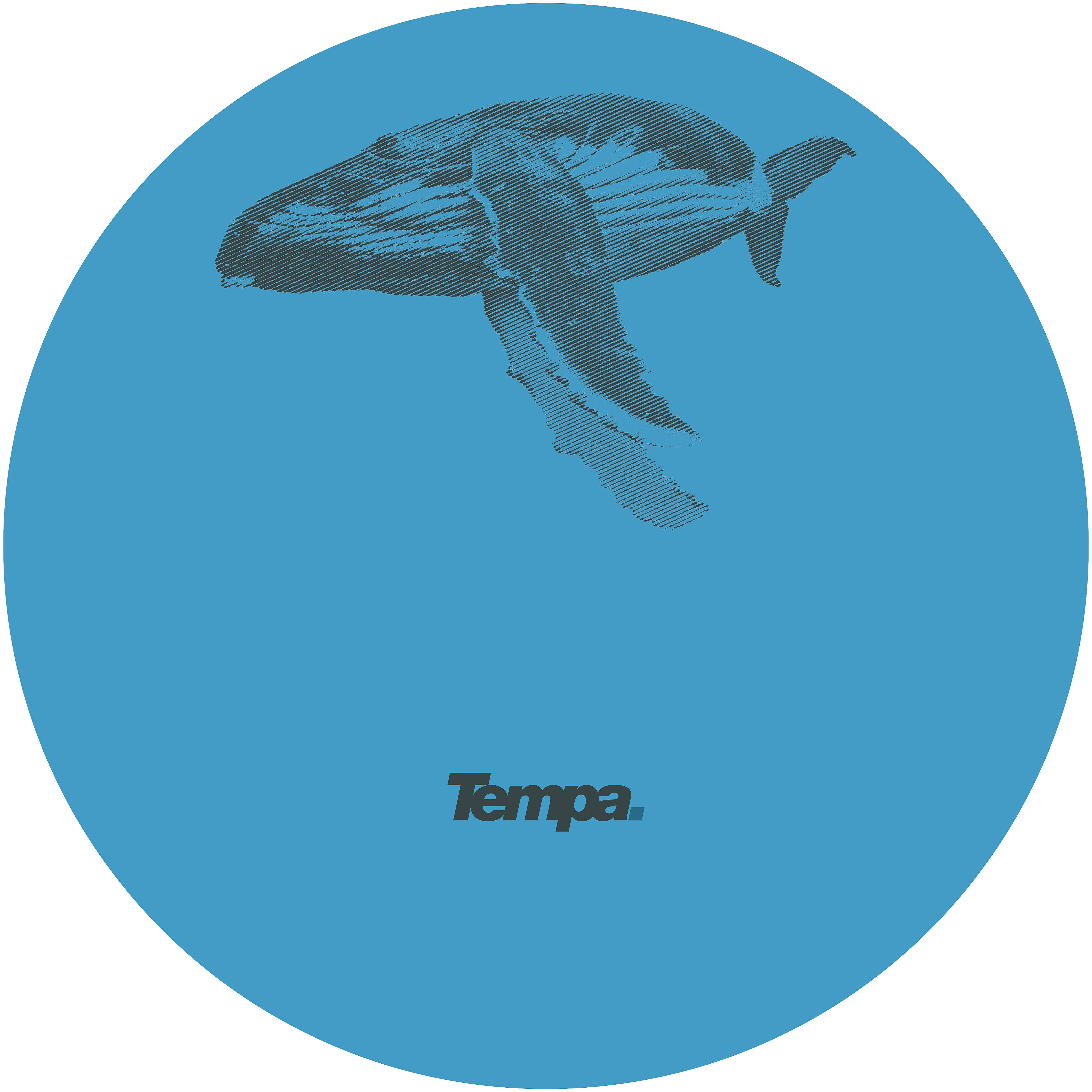 Skeptical - Chain Reaction
