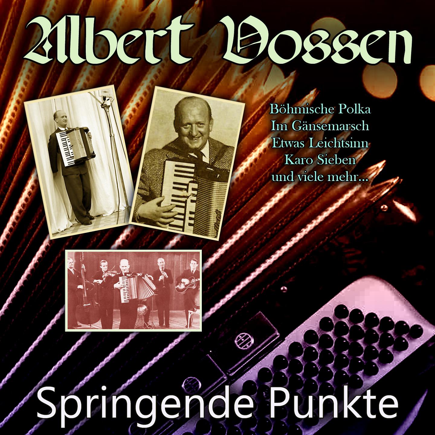 Постер альбома Springende Punkte