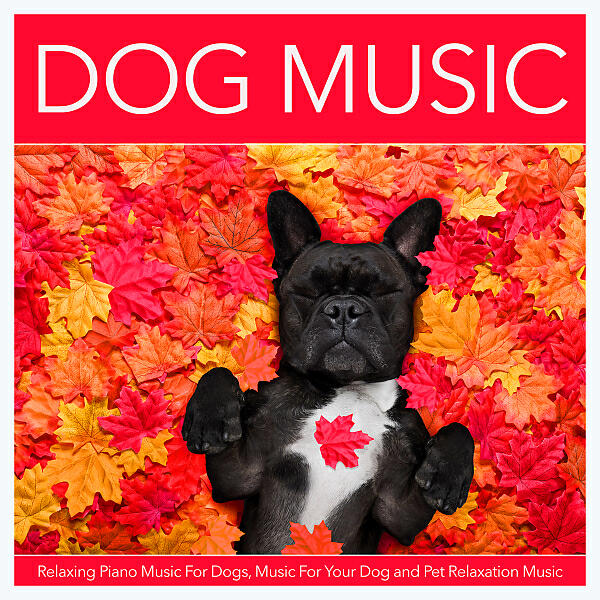 Dog Music - Soft Music For Your Dog (feat. Music For Your Dog & Pet Care Music Therapy)