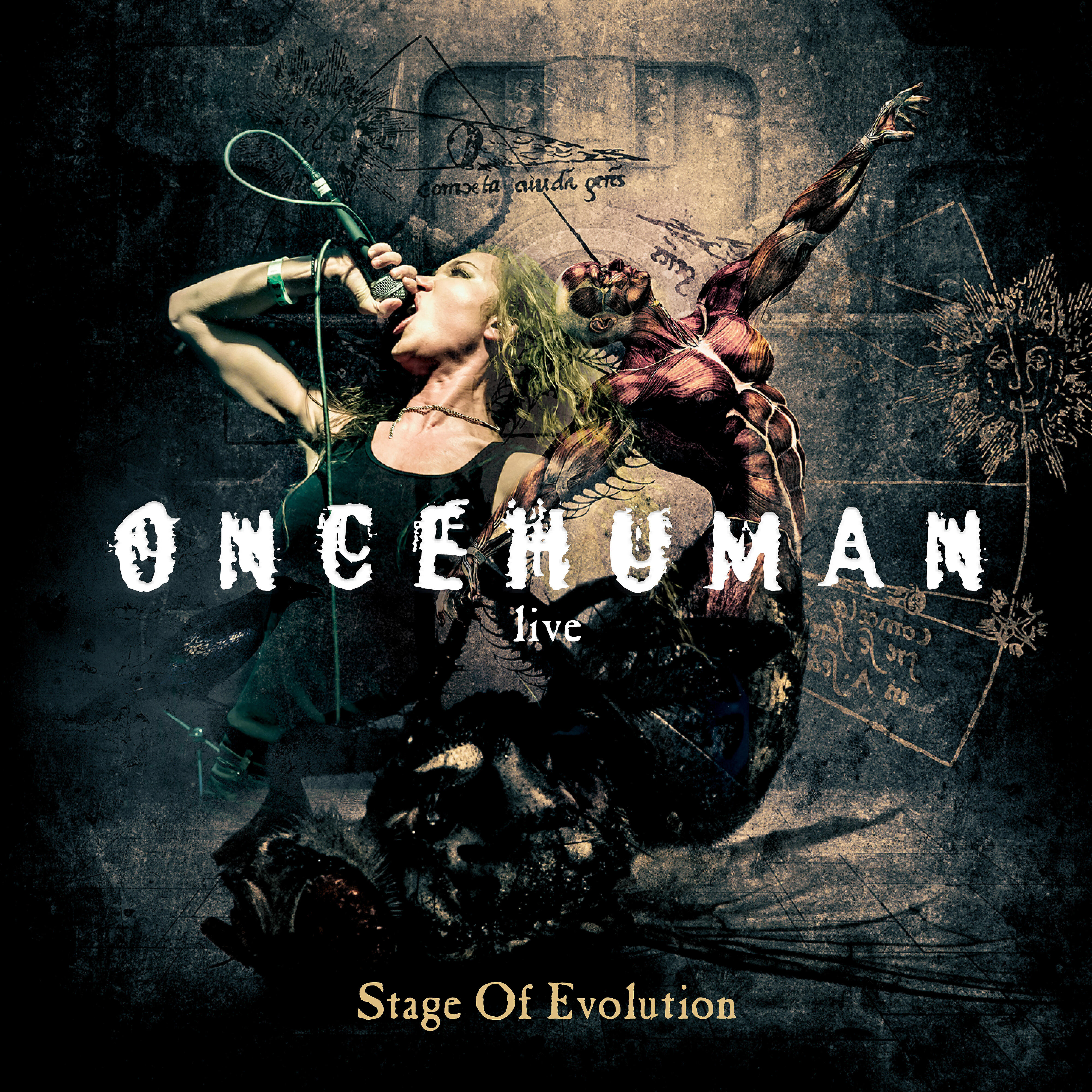 Once Human - Paragon