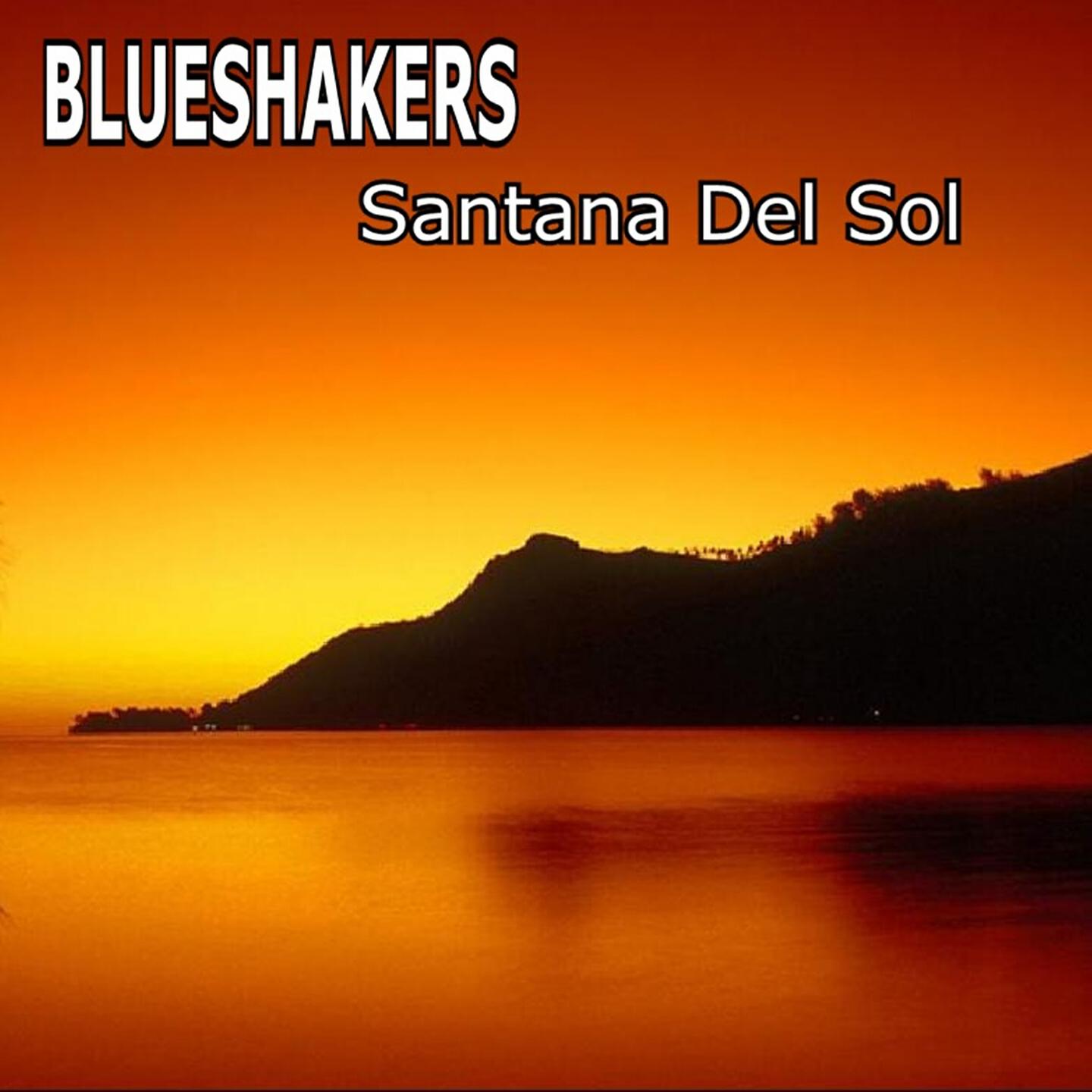Blueshakers - Gibson 335 Blues