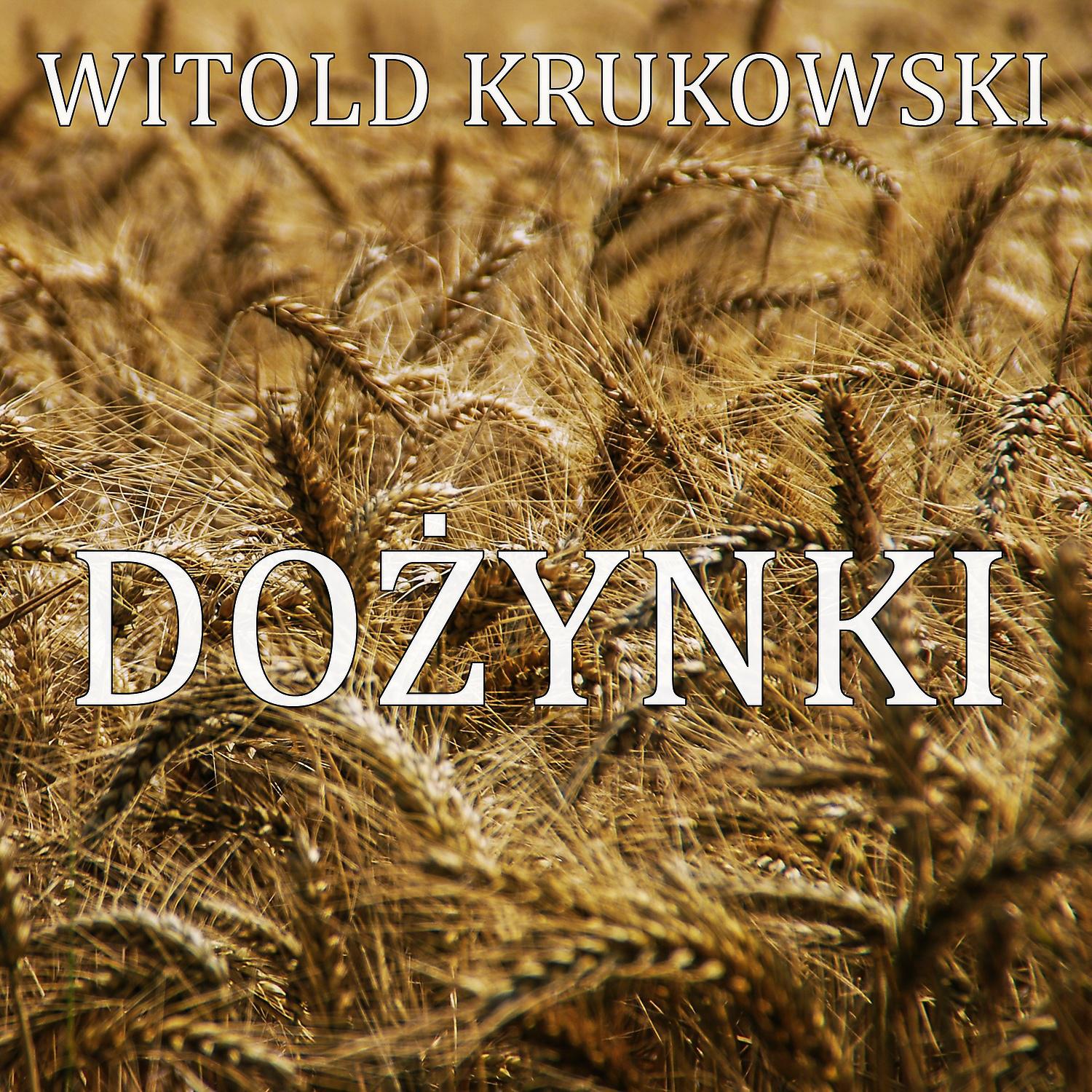 Постер альбома Dozynki
