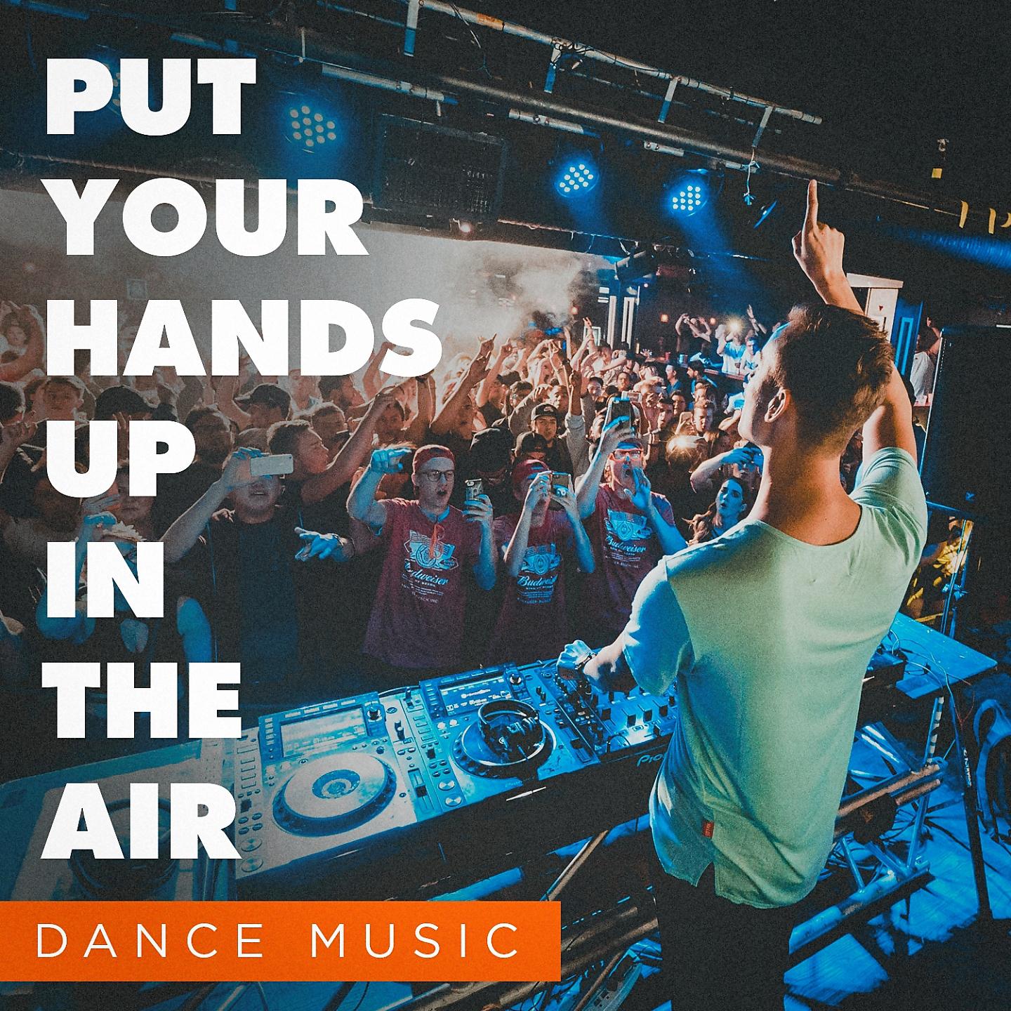 Постер альбома Put Your Hands up in the Air (Dance Music)