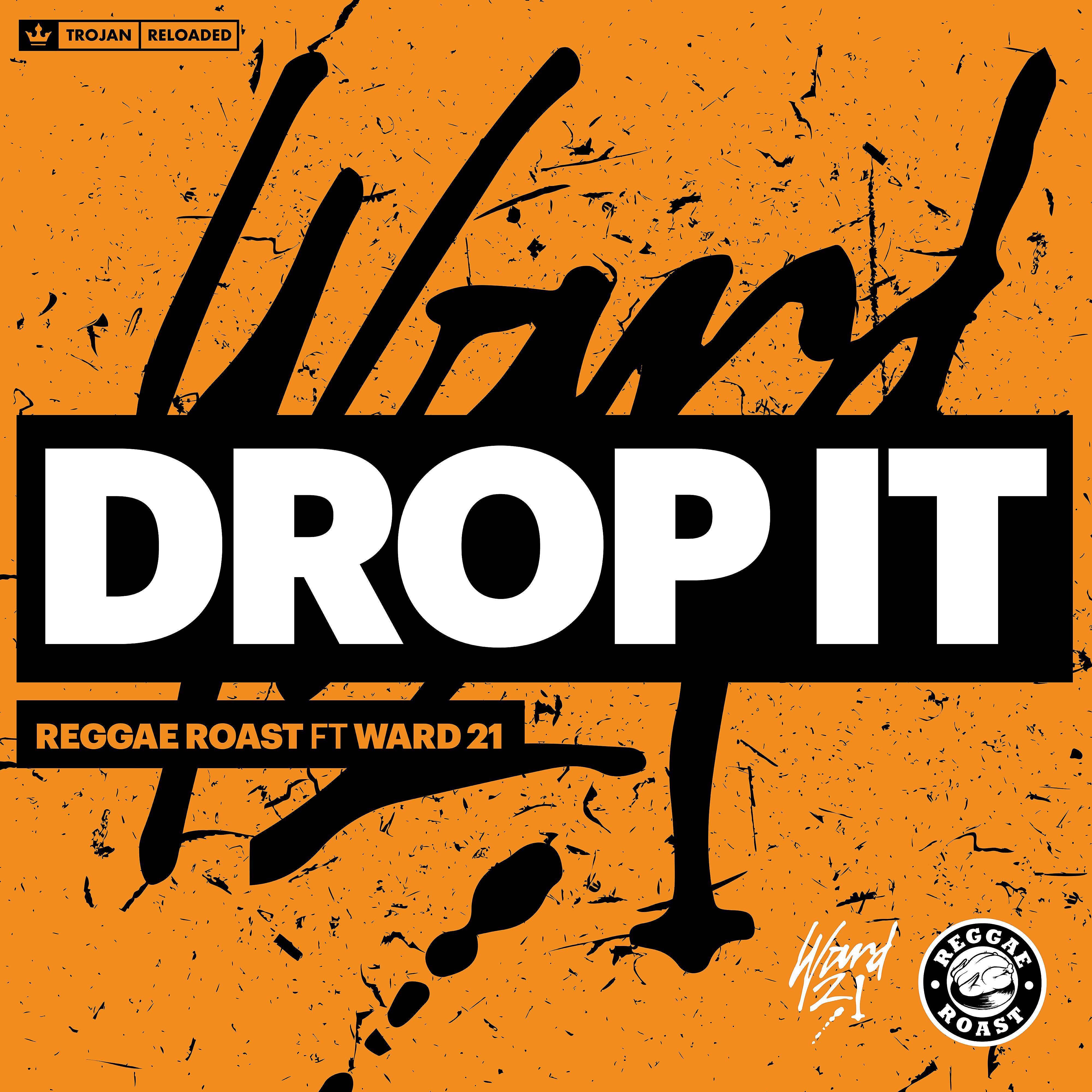 Постер альбома Drop It (feat. Ward 21)
