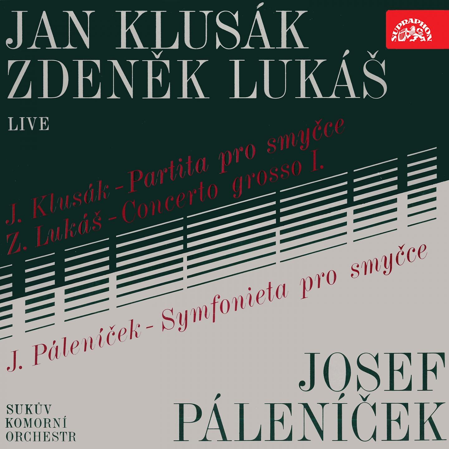 Постер альбома Klusák, Lukáš, Páleníček