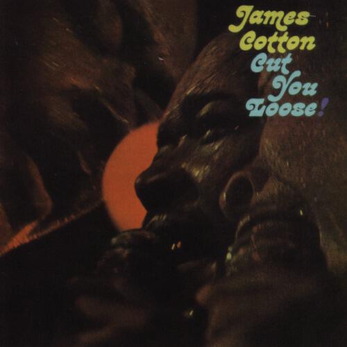 James Cotton - Slippin' And Slidin'