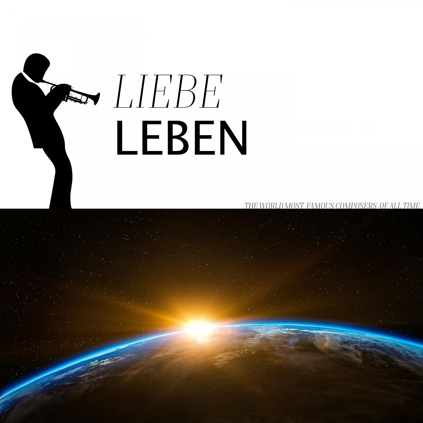 Постер альбома Liebe Leben