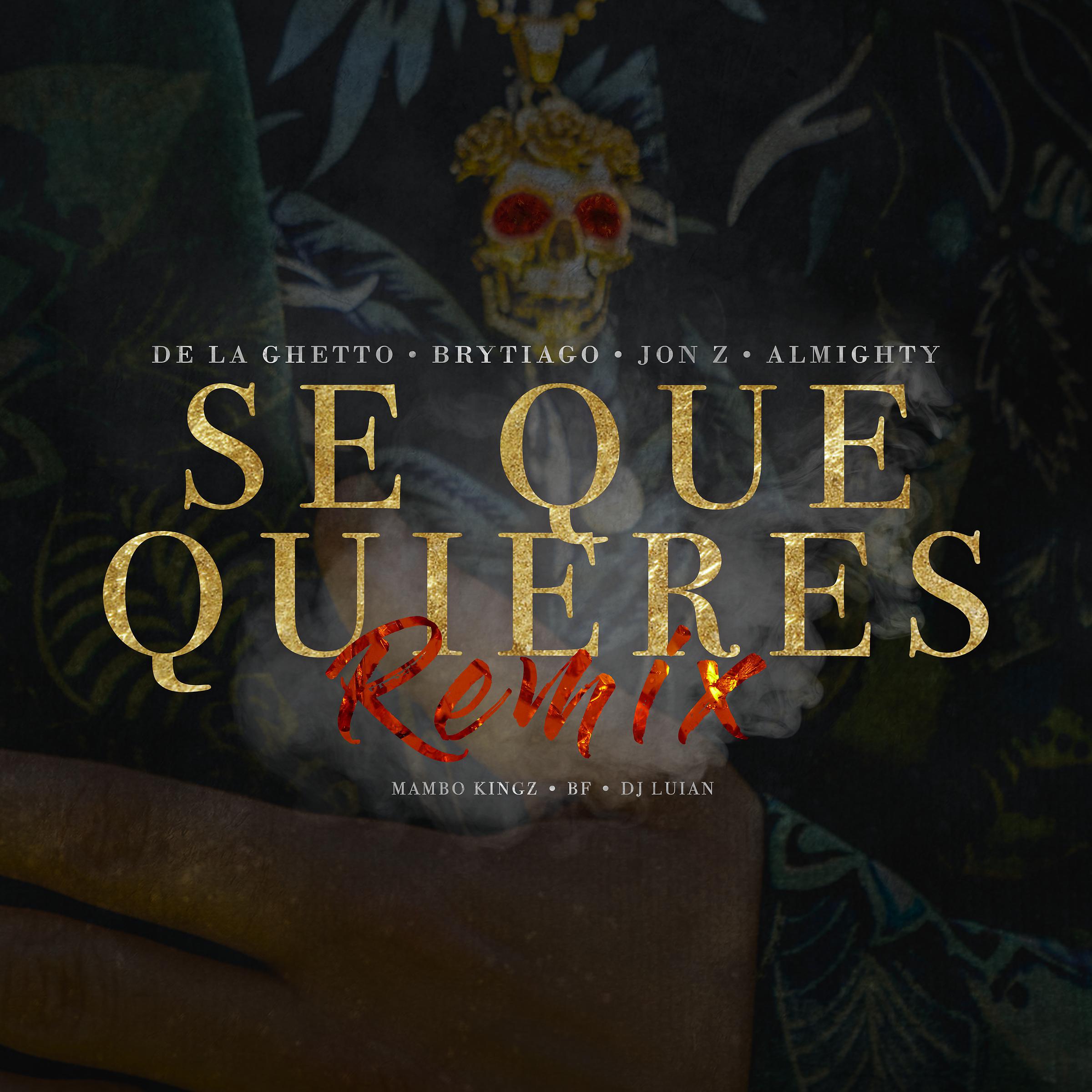Постер альбома Sé Que Quieres (feat. Brytiago, Jon Z & Almighty) [Remix]