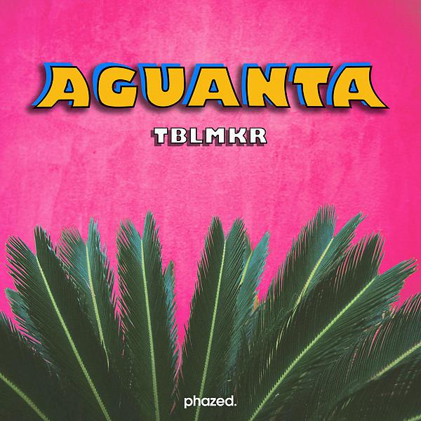 Постер альбома Aguanta