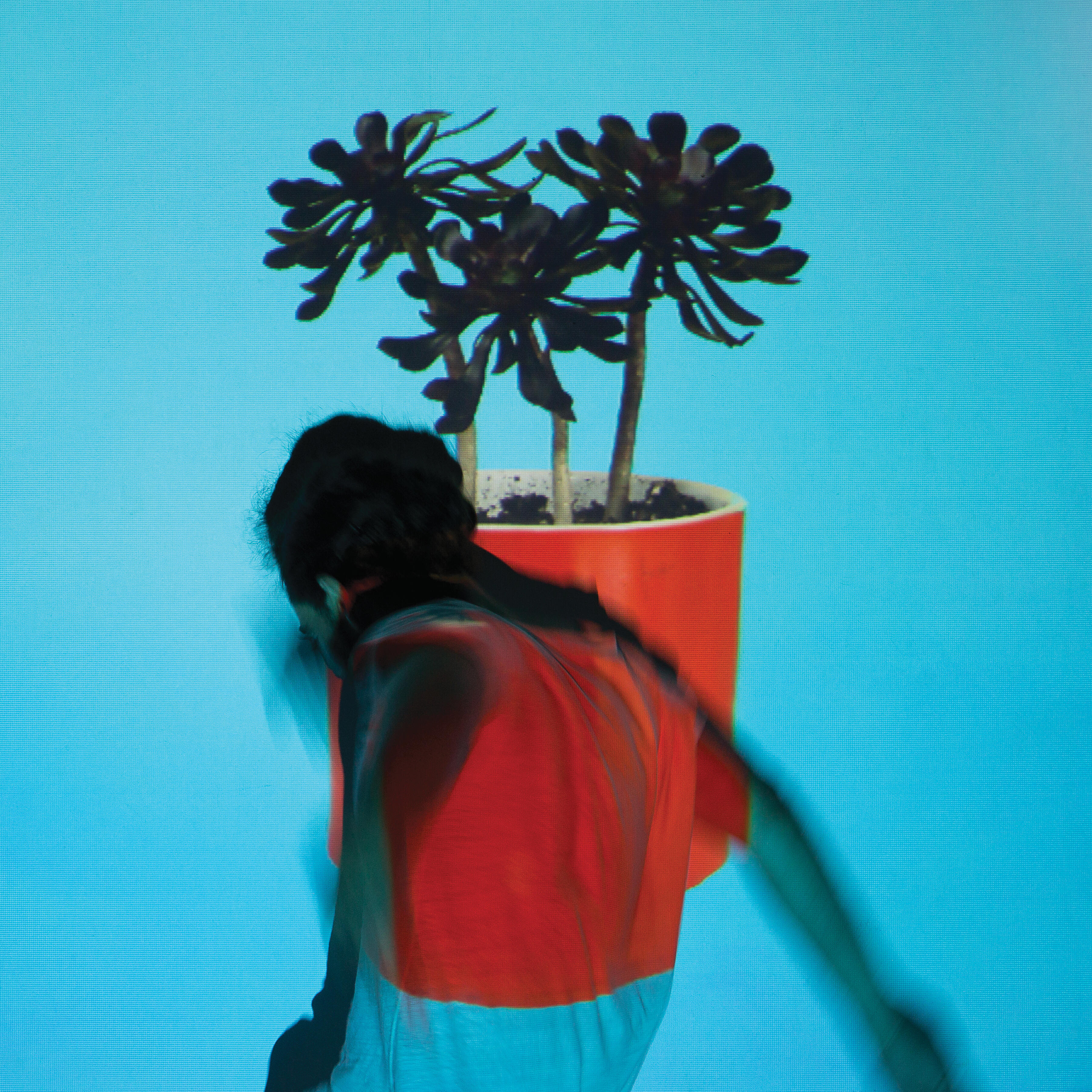 Local Natives - Past Lives