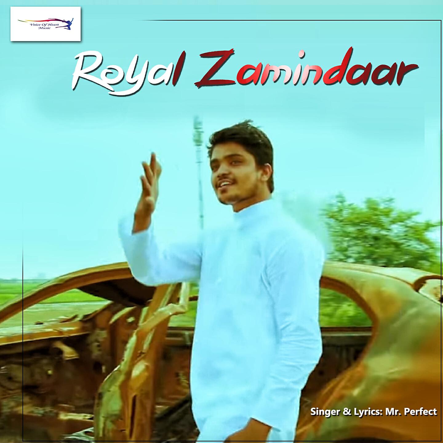Mr. Perfect - Royal Zamindar