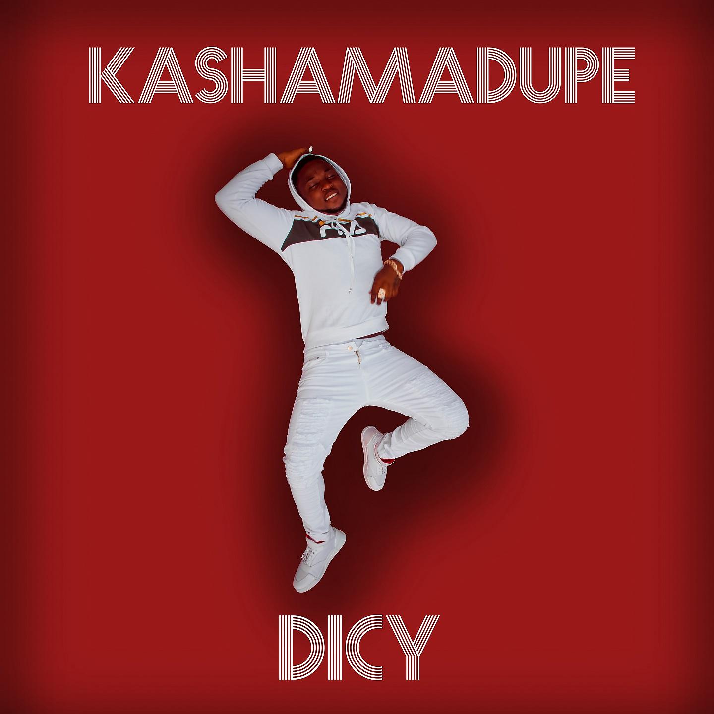 Постер альбома Kashamadupe
