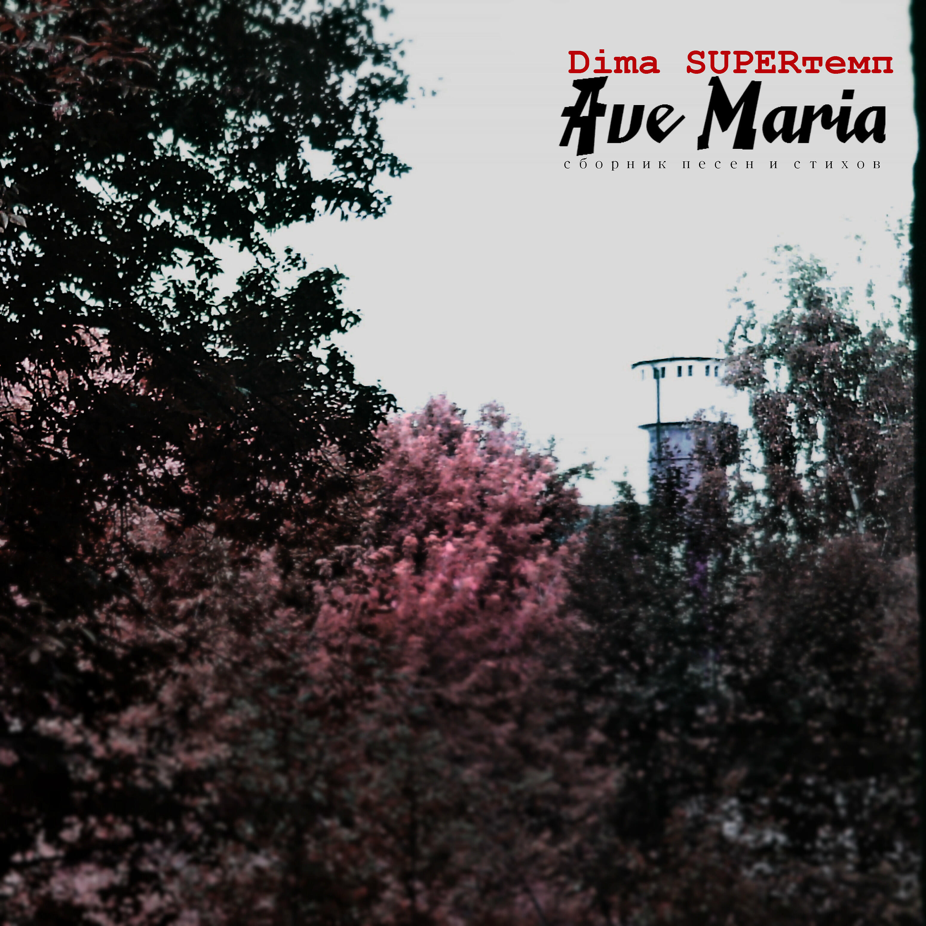 Dima SUPERтемп - Карнавал