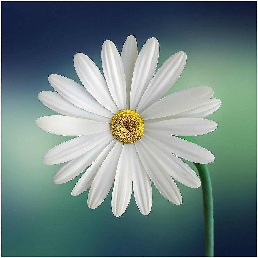 Chillout Lounge Relaxation - Inner Peace (Original Mix)