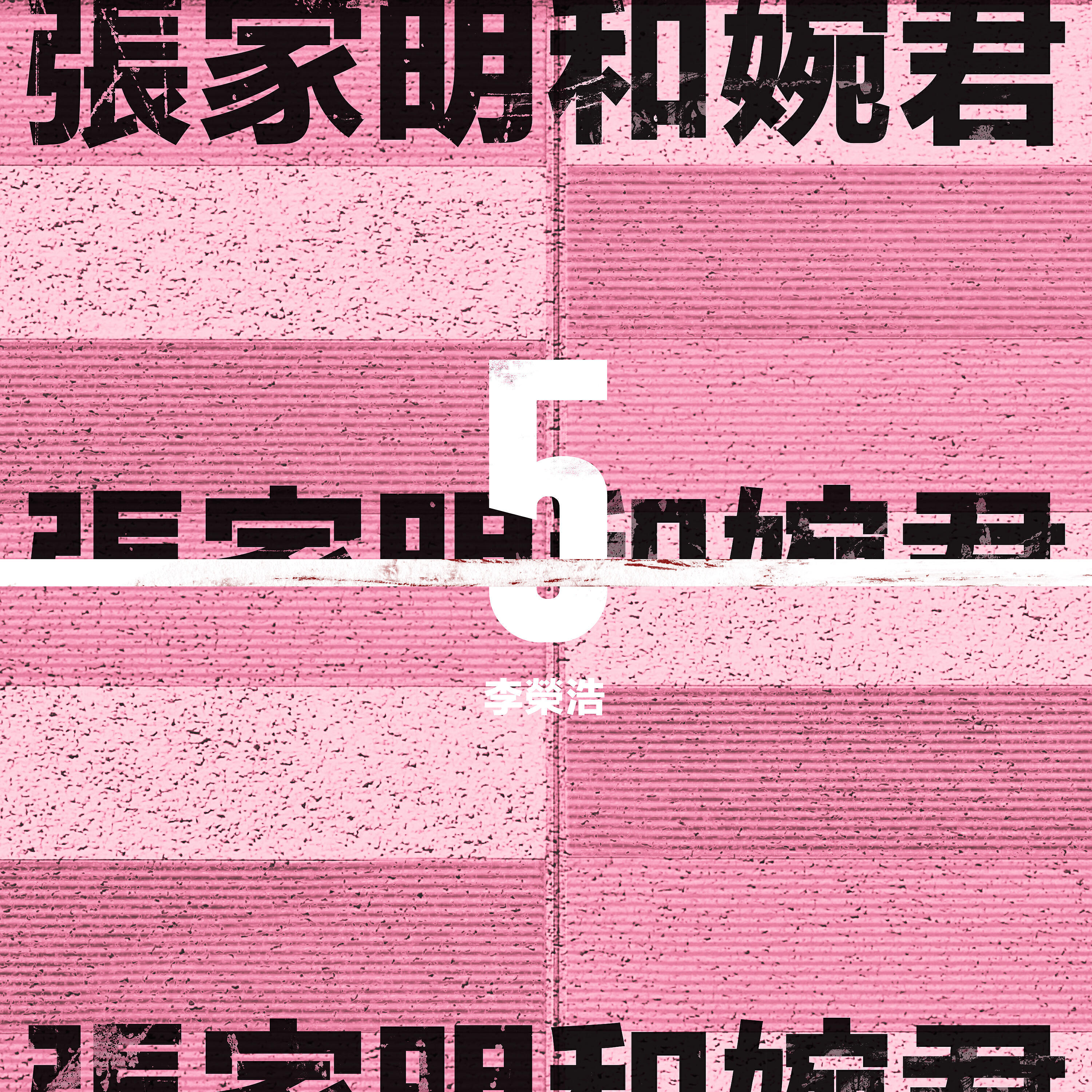Ronghao Li - Zhang Jia Ming And Wan Jun