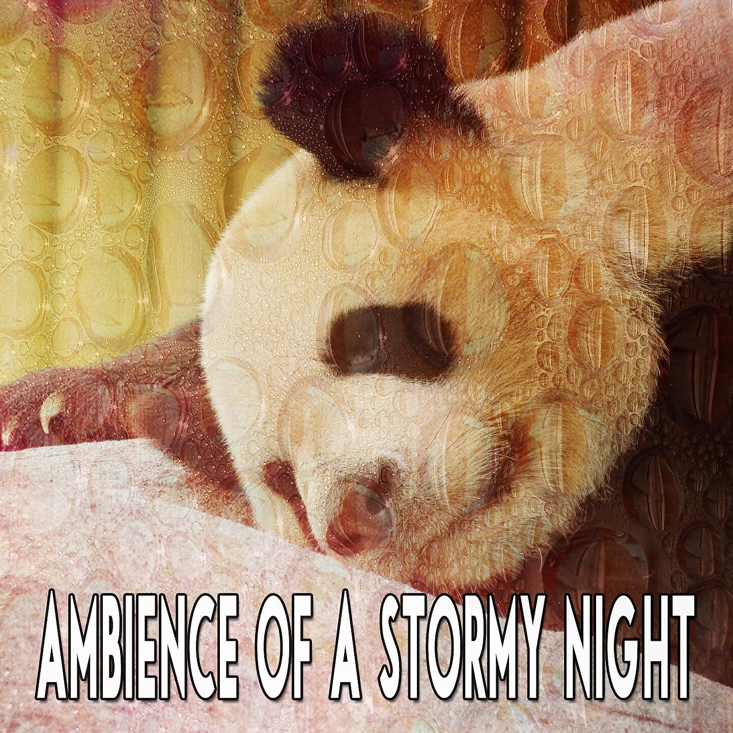 The Rain Library - Storm in the Atmosphere