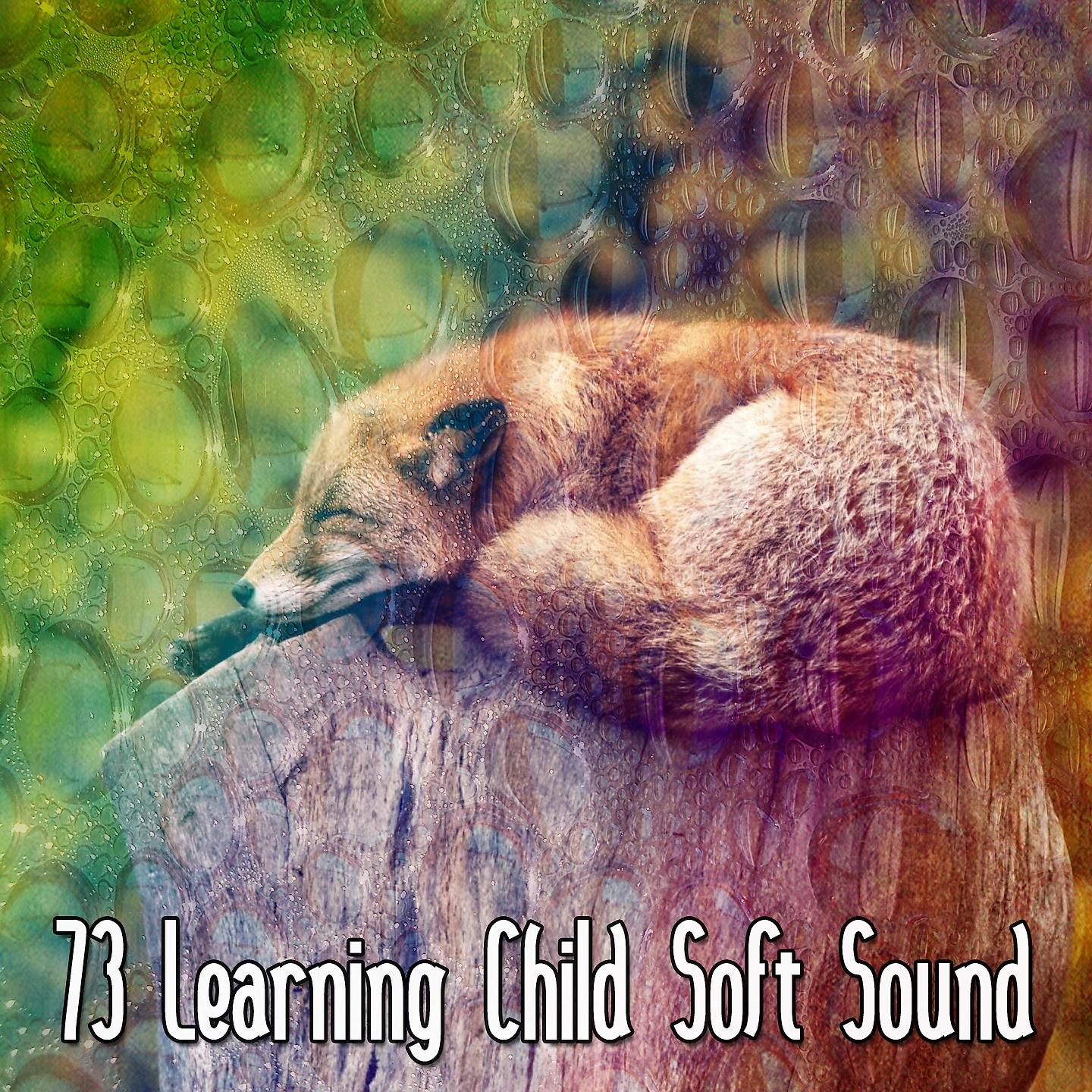 Постер альбома 73 Learning Child Soft Sound