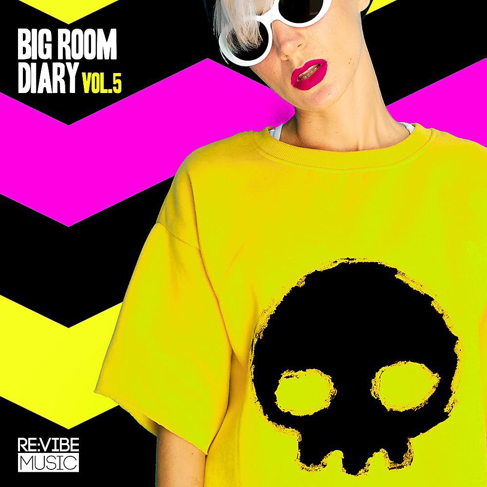Постер альбома Big Room Diary, Vol. 5