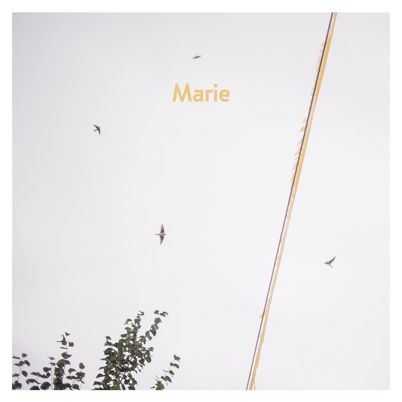 Постер альбома Marie