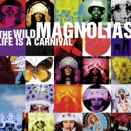 Постер альбома Life Is A Carnival