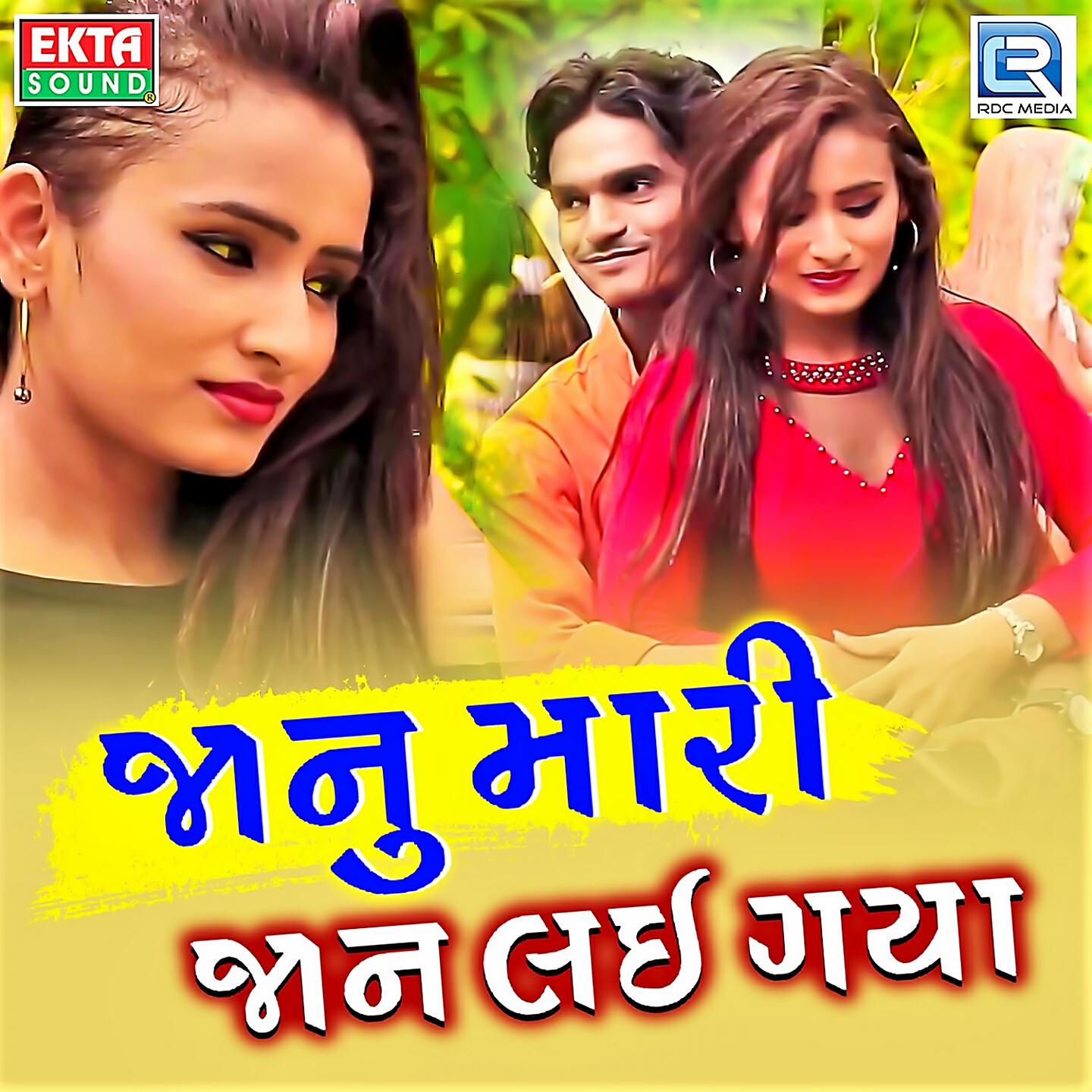 Raju Thakor - Janu Mari Jaan Lai Gaya