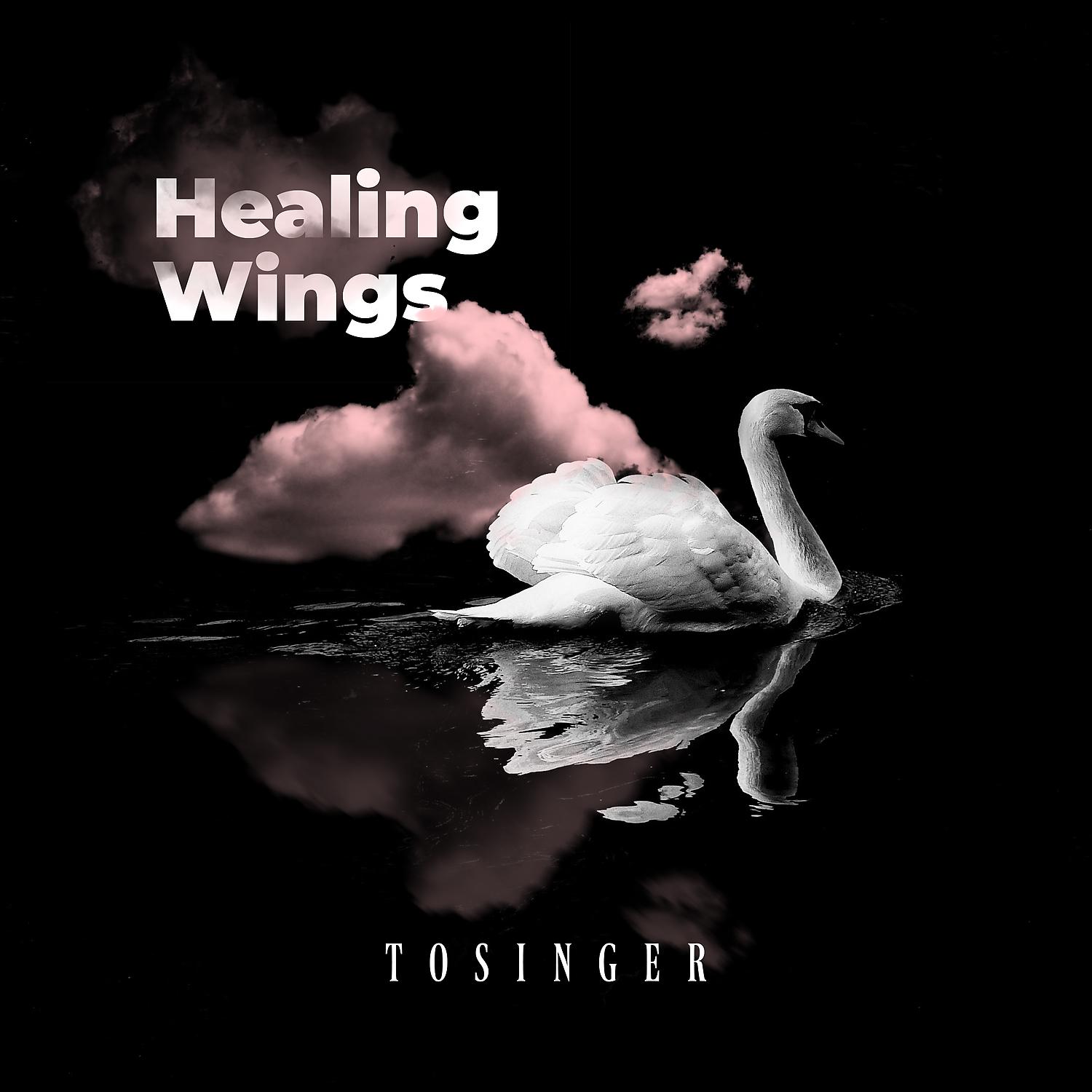 Постер альбома Healing Wings