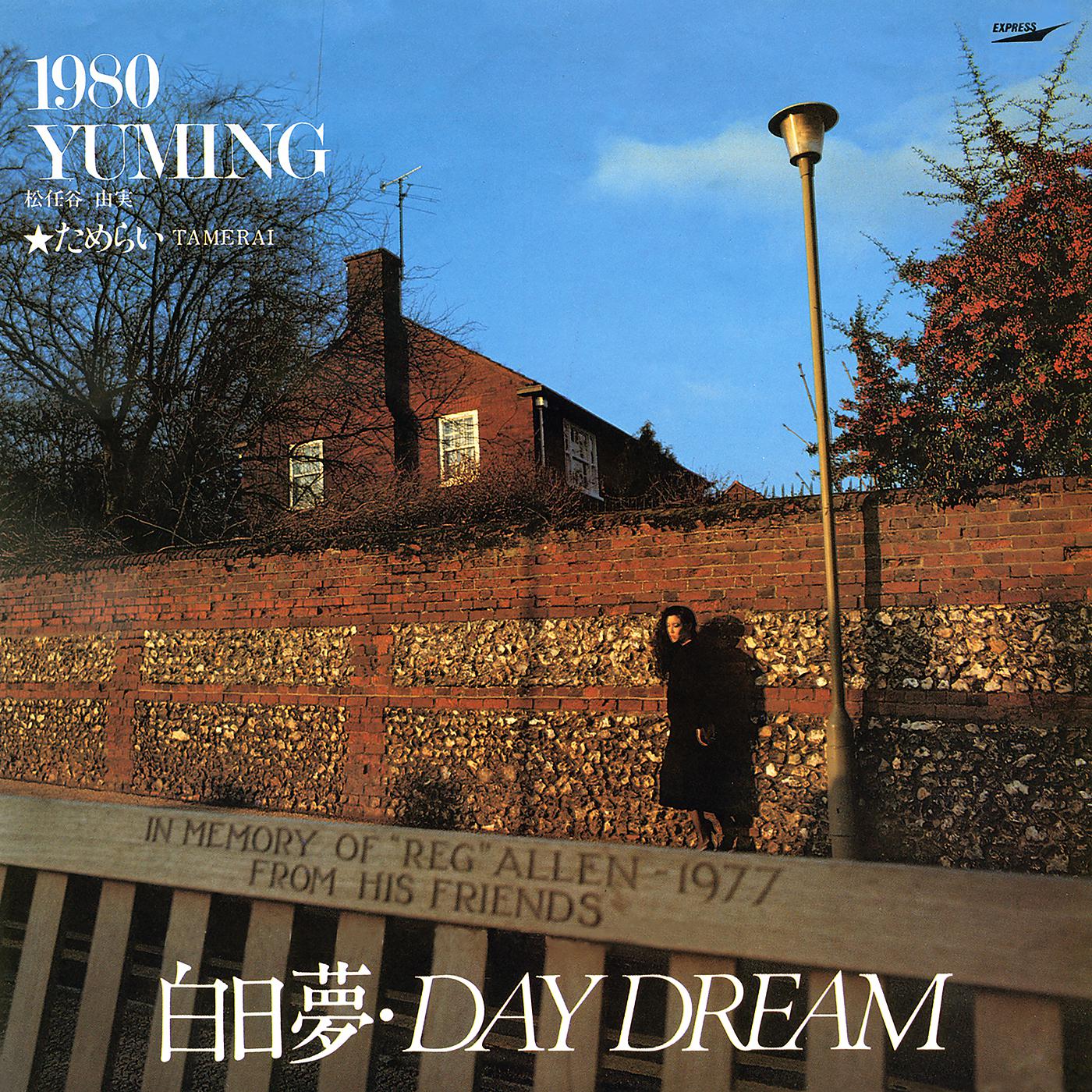Постер альбома Day Dream / Hakujitumu - Day Dream