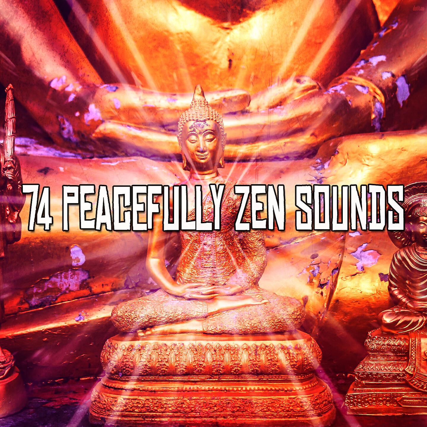Asian Zen Spa Music Meditation - High Winds with Strong Droplets