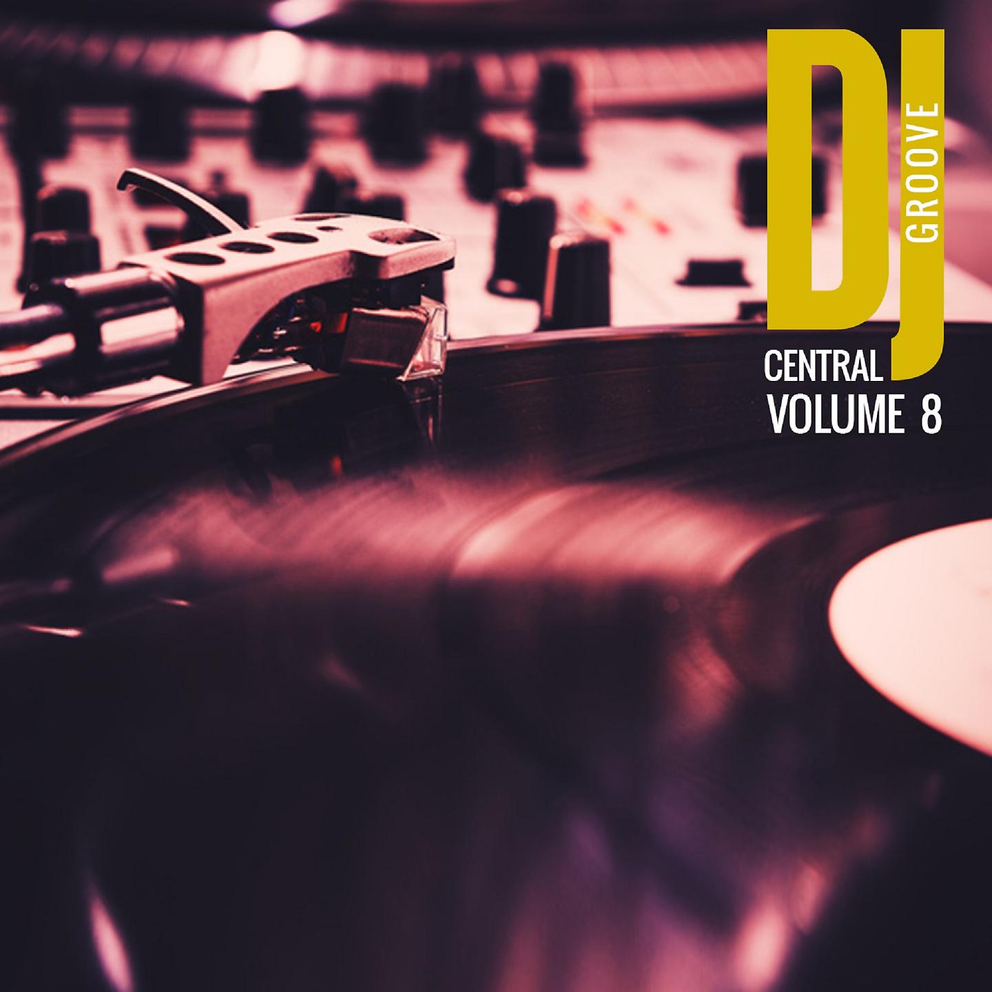 Постер альбома DJ Central Vol. 8 Groove