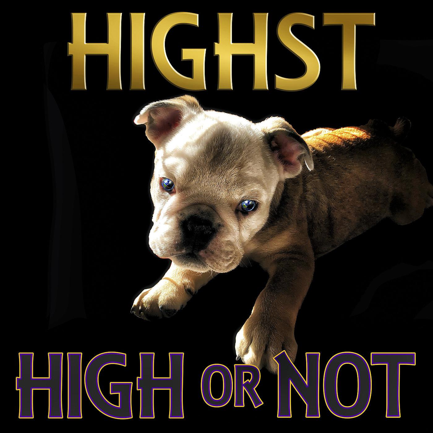 Постер альбома High or Not