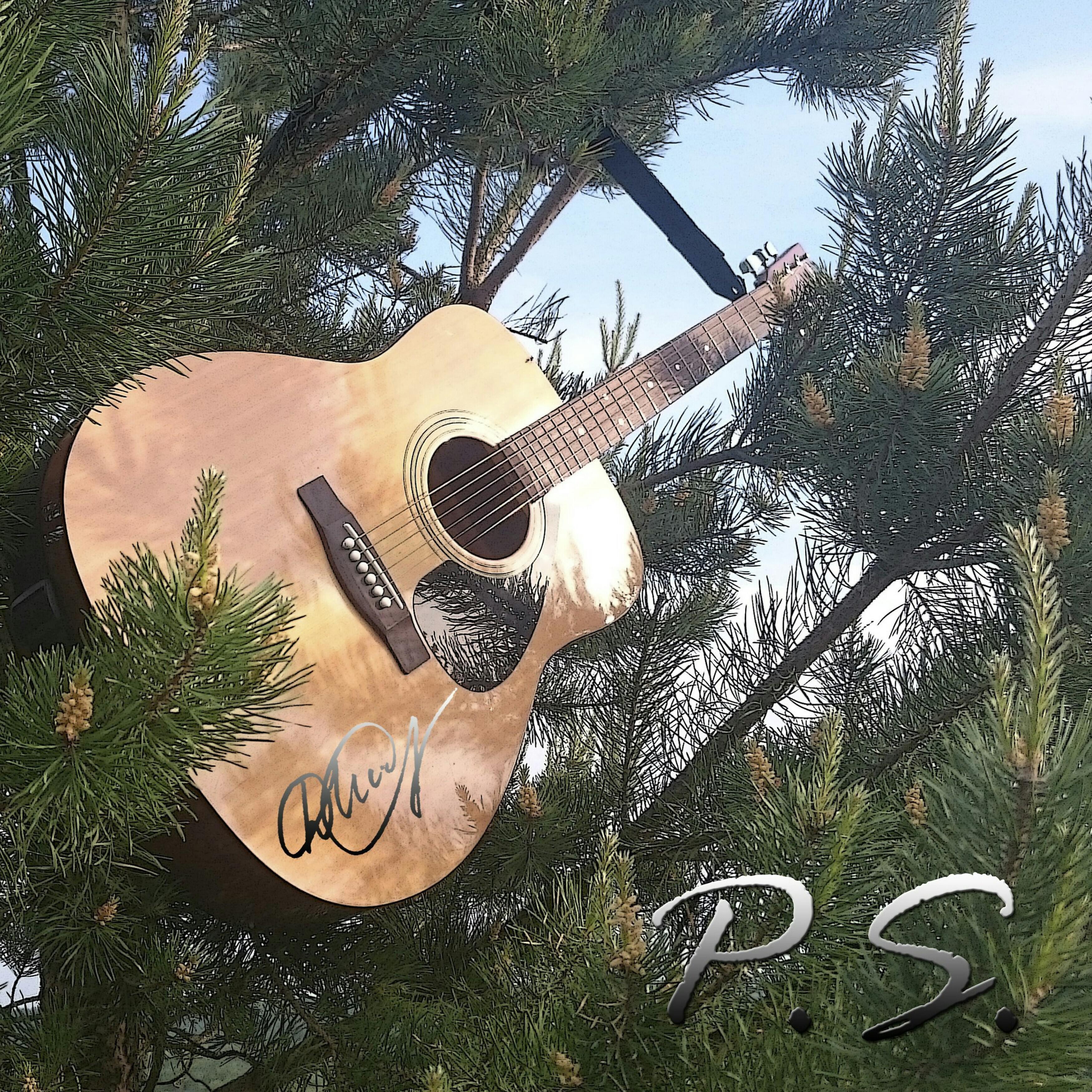 Дмитрий Горняков - Дарю