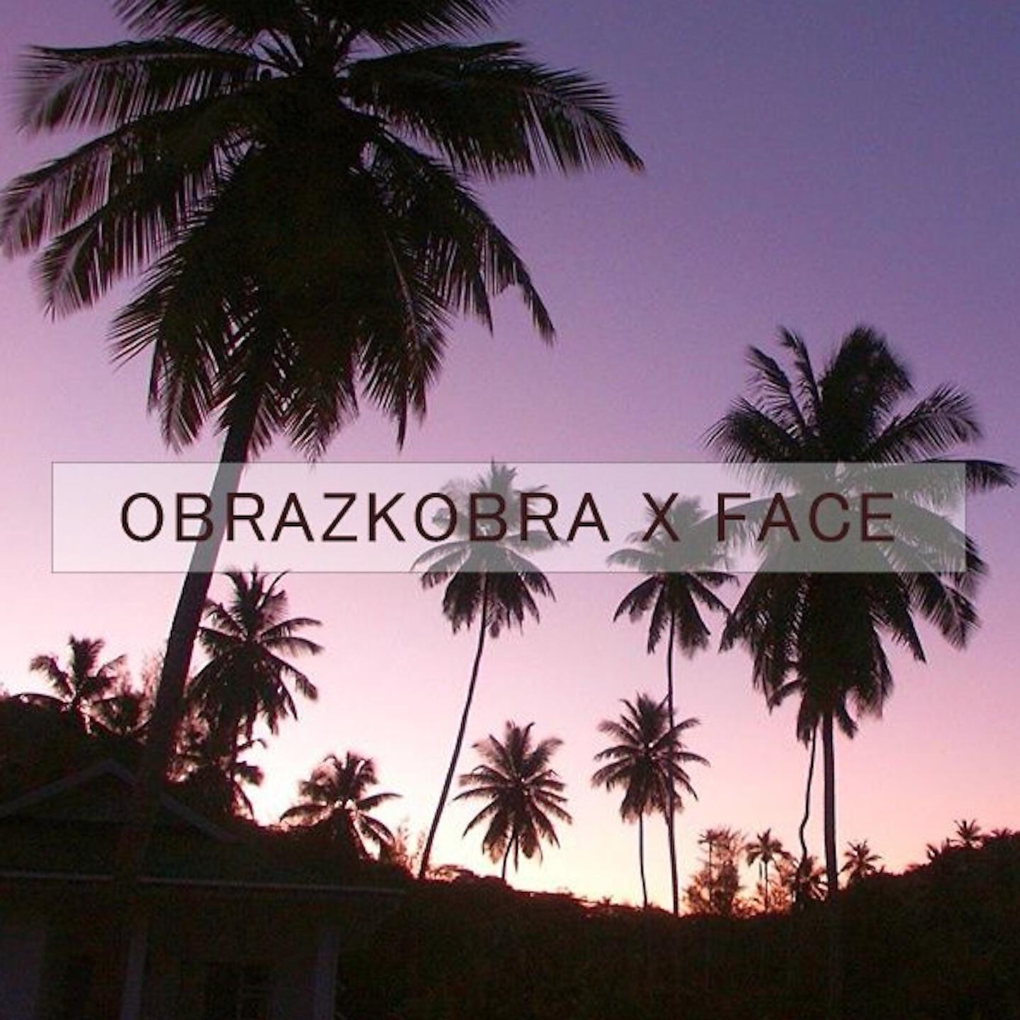 OBRAZKOBRA - VLONE