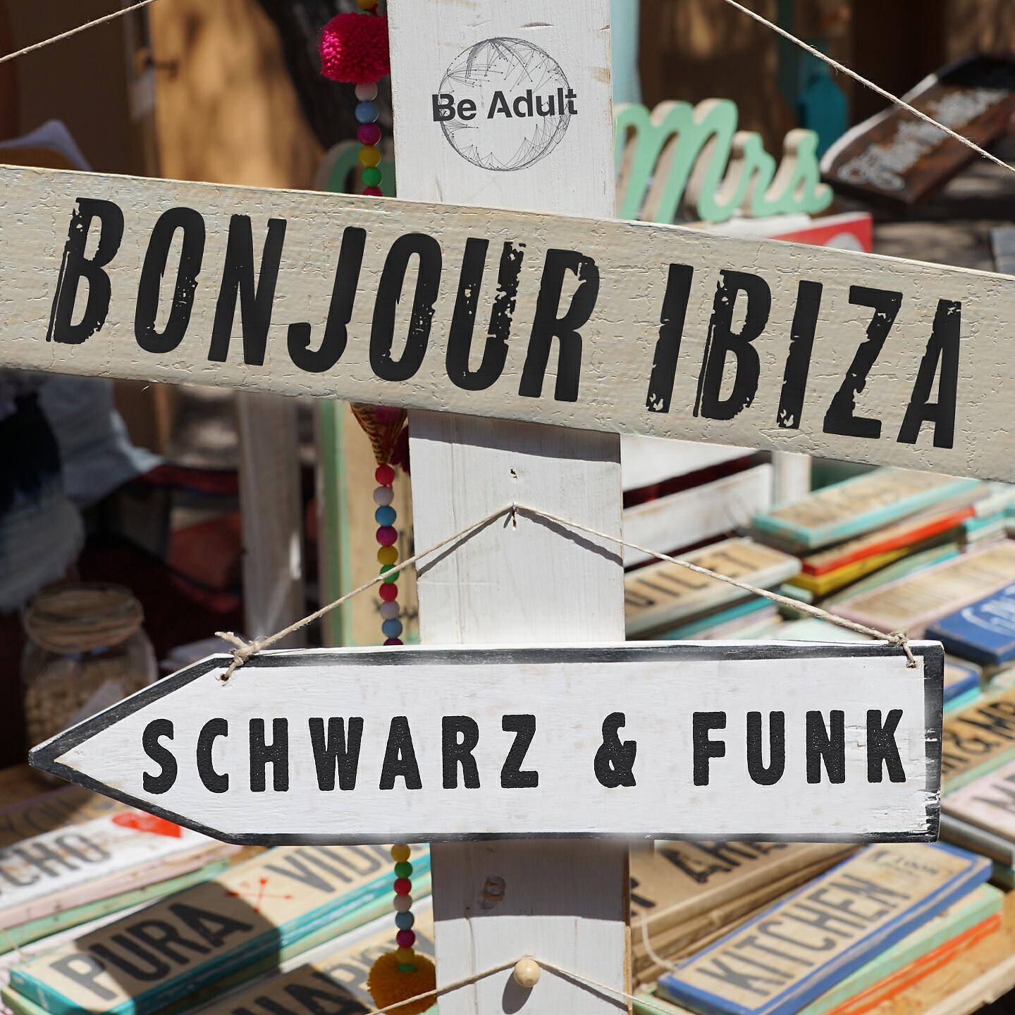 Schwarz & Funk - Wanting You (Classic House Mix)