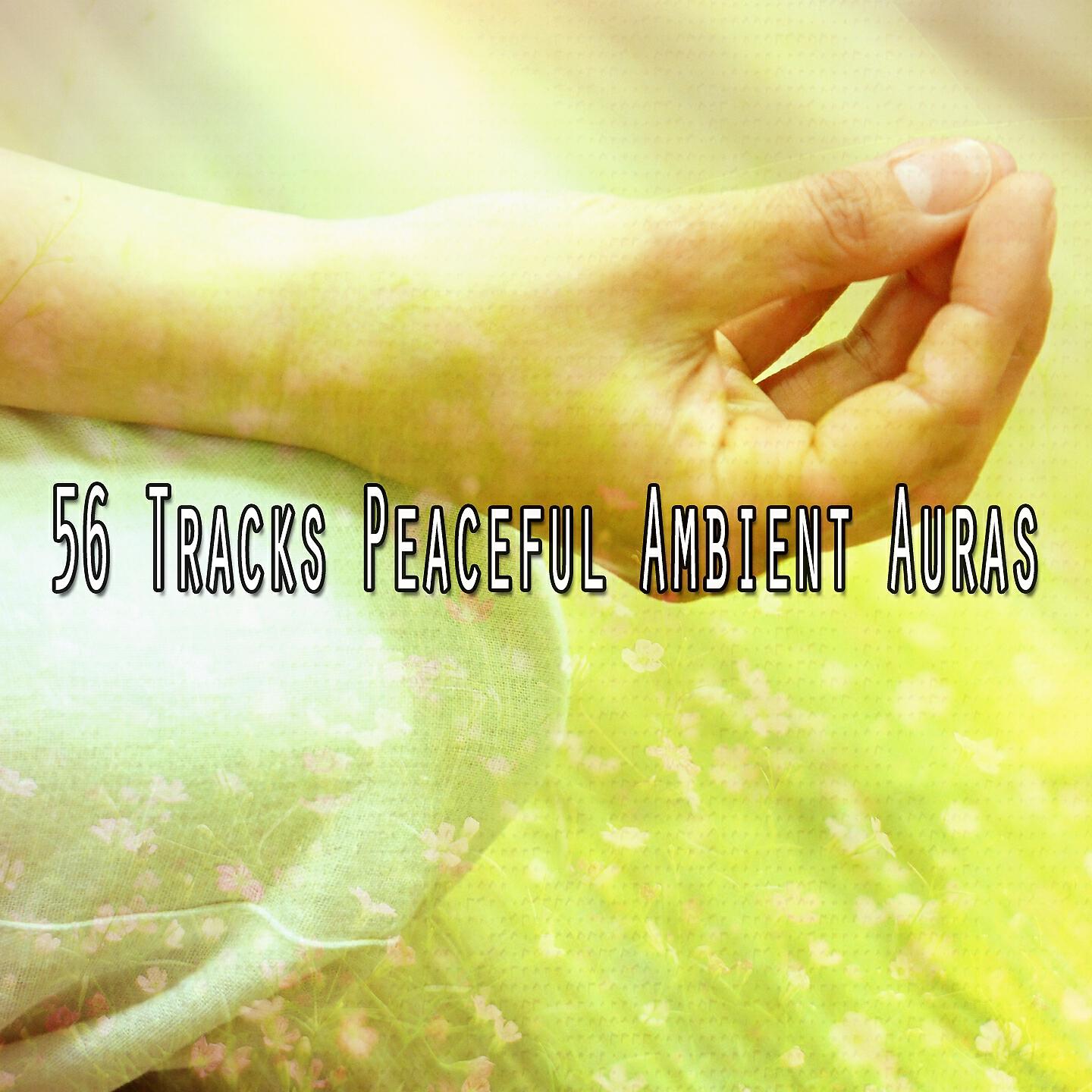Asian Zen Spa Music Meditation - Soothing Symbols of Sanctity