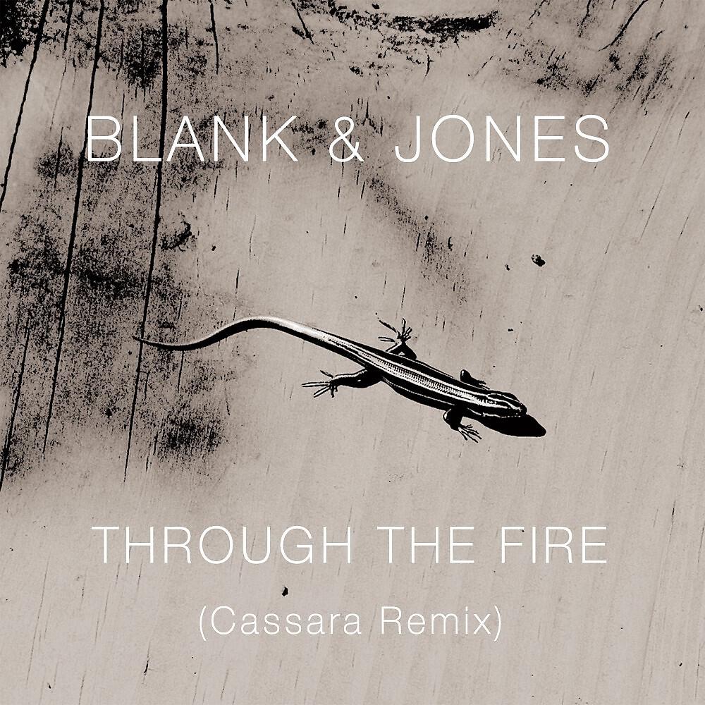 Blank & Jones - The Wire (Cassara Remix Instrumental)