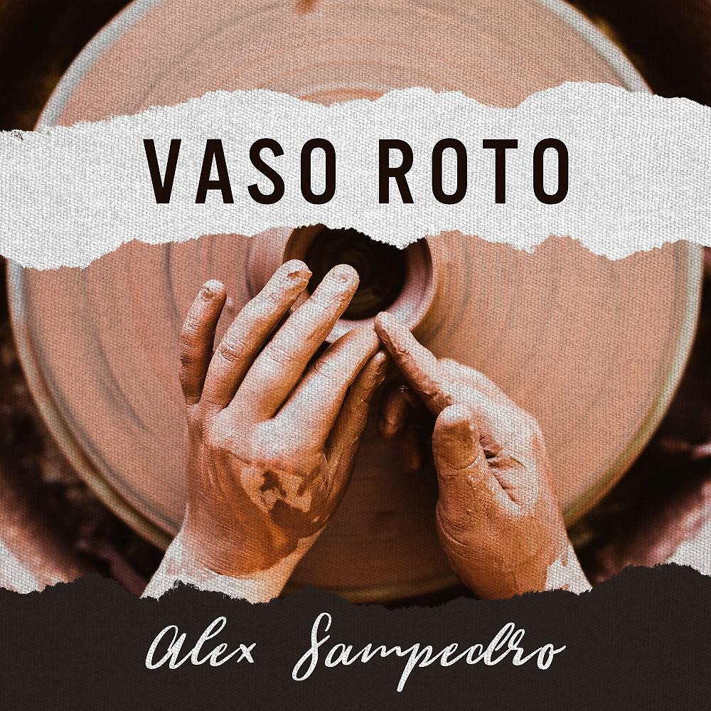 Постер альбома Vaso Roto