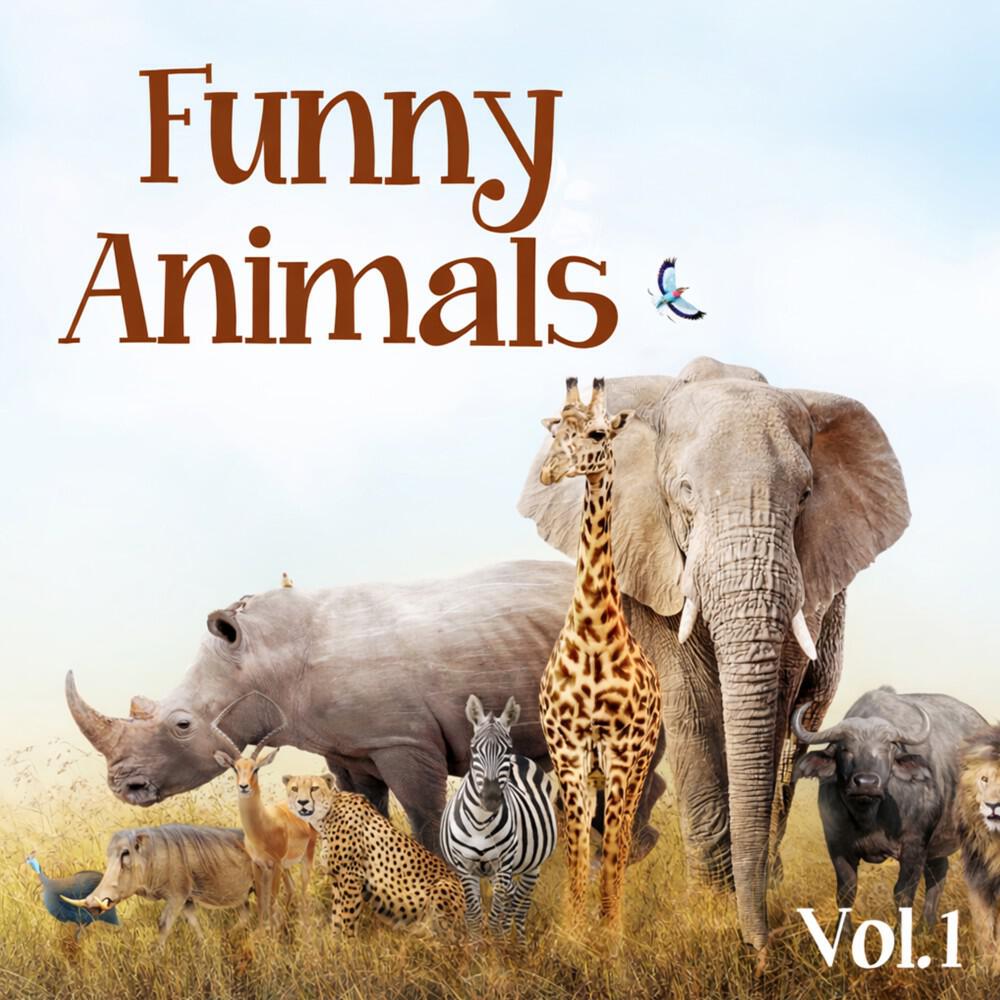 Steven Solveig - Animal Planet