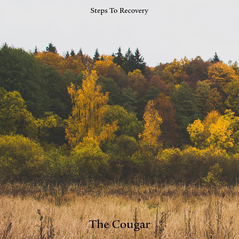 Постер альбома The Cougar