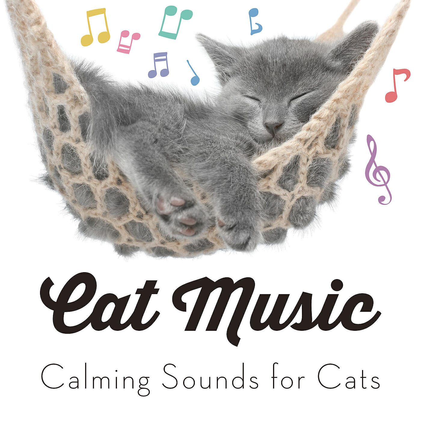 Cat Music - Cat Bath
