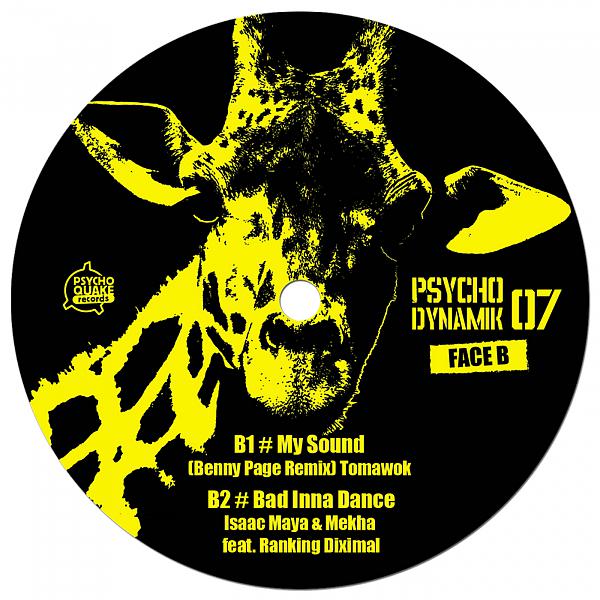Постер альбома Psychodynamik 07