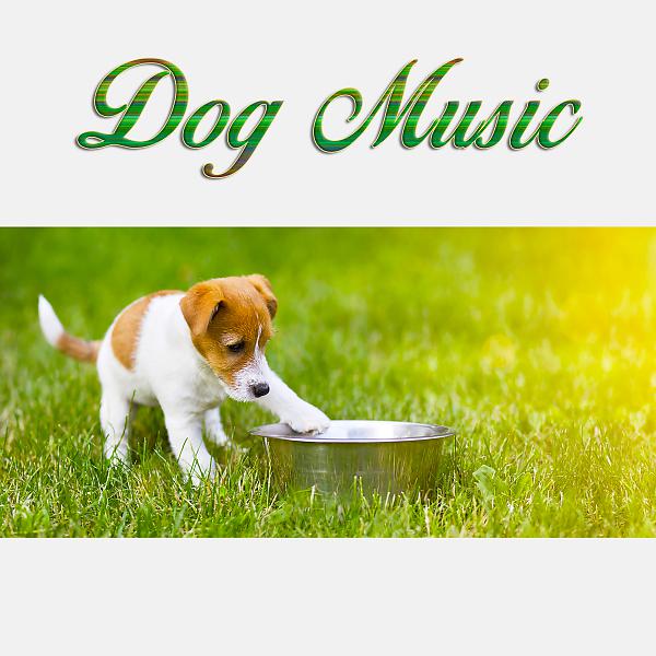 Постер альбома Dog Music and Music For Dogs