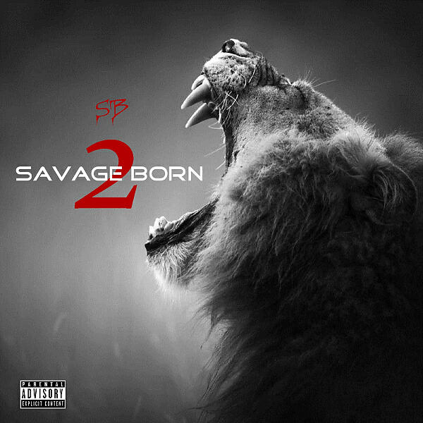 SB - Currency & Hoes (feat. King Shawn & Chief Don)