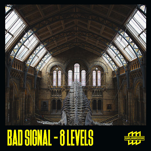 Bad Signal - Cyber Elite