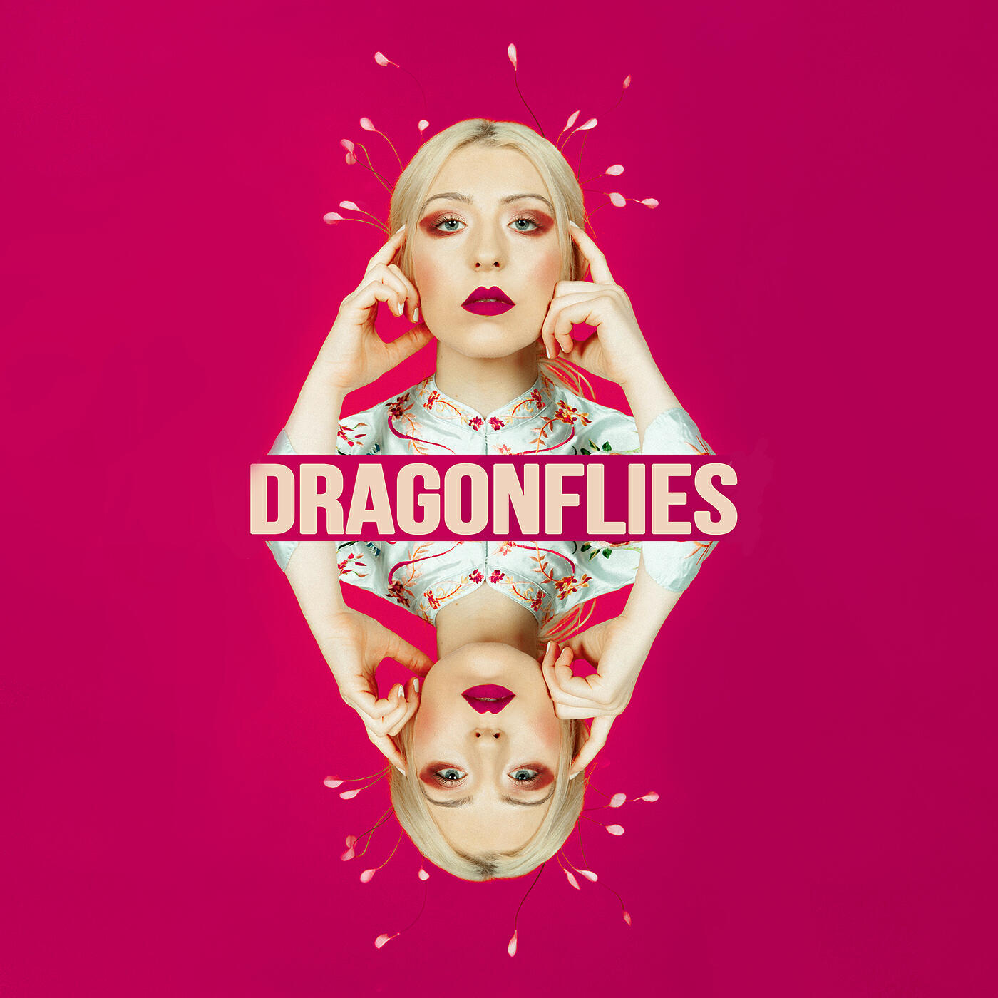 SVRCINA - Dragonflies