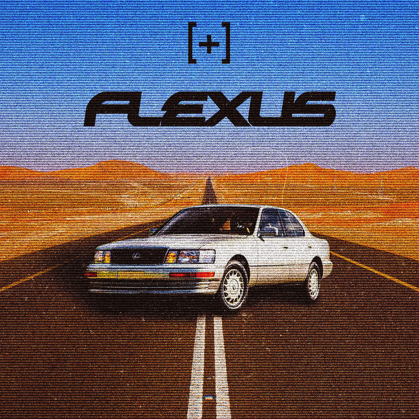 Lot D - Flexus