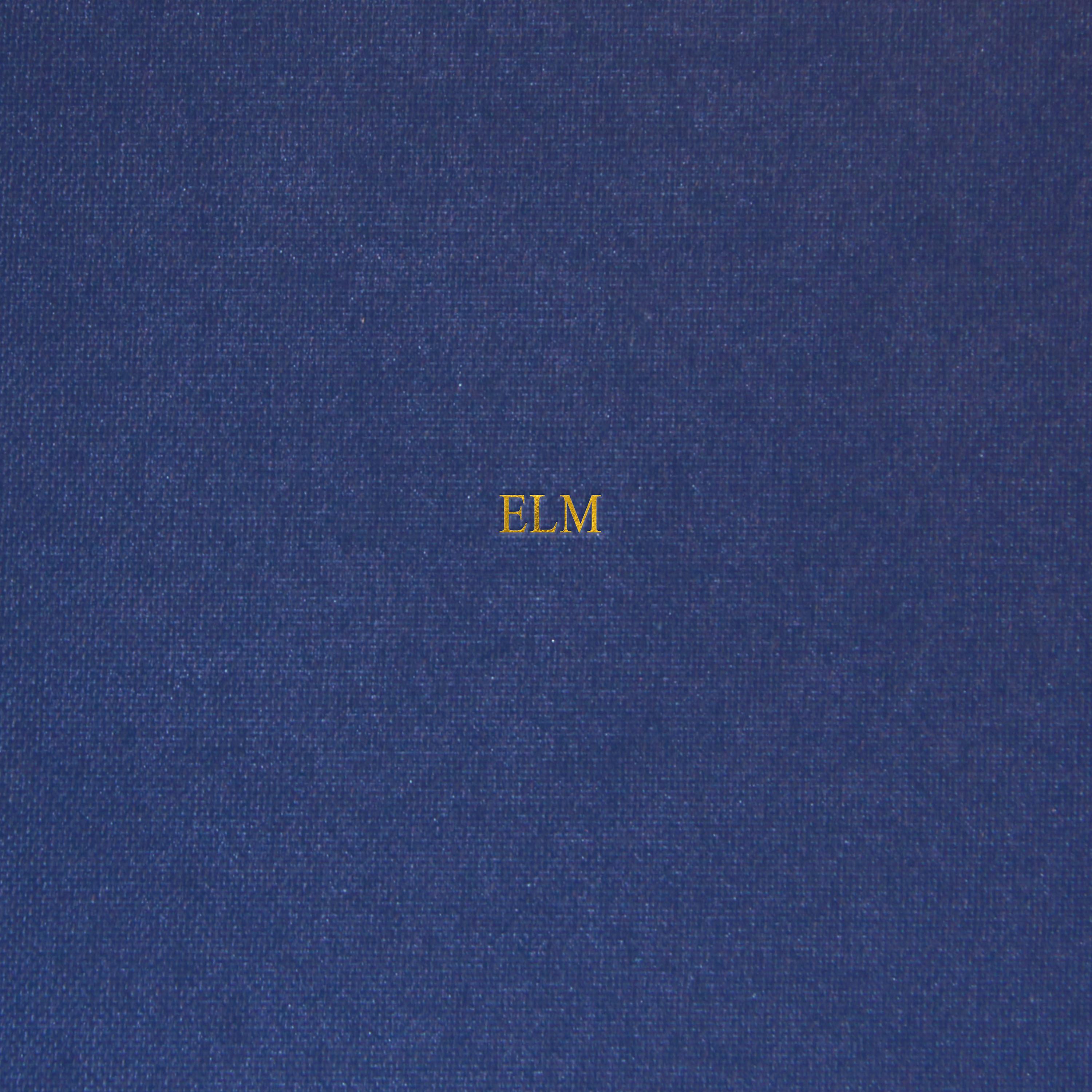 Постер альбома Elm