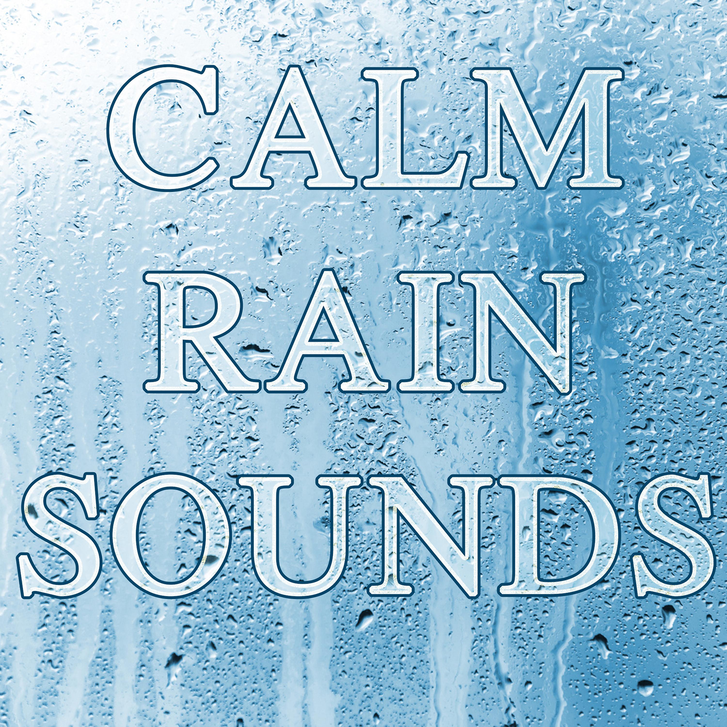 Постер альбома Calm Rain Sounds