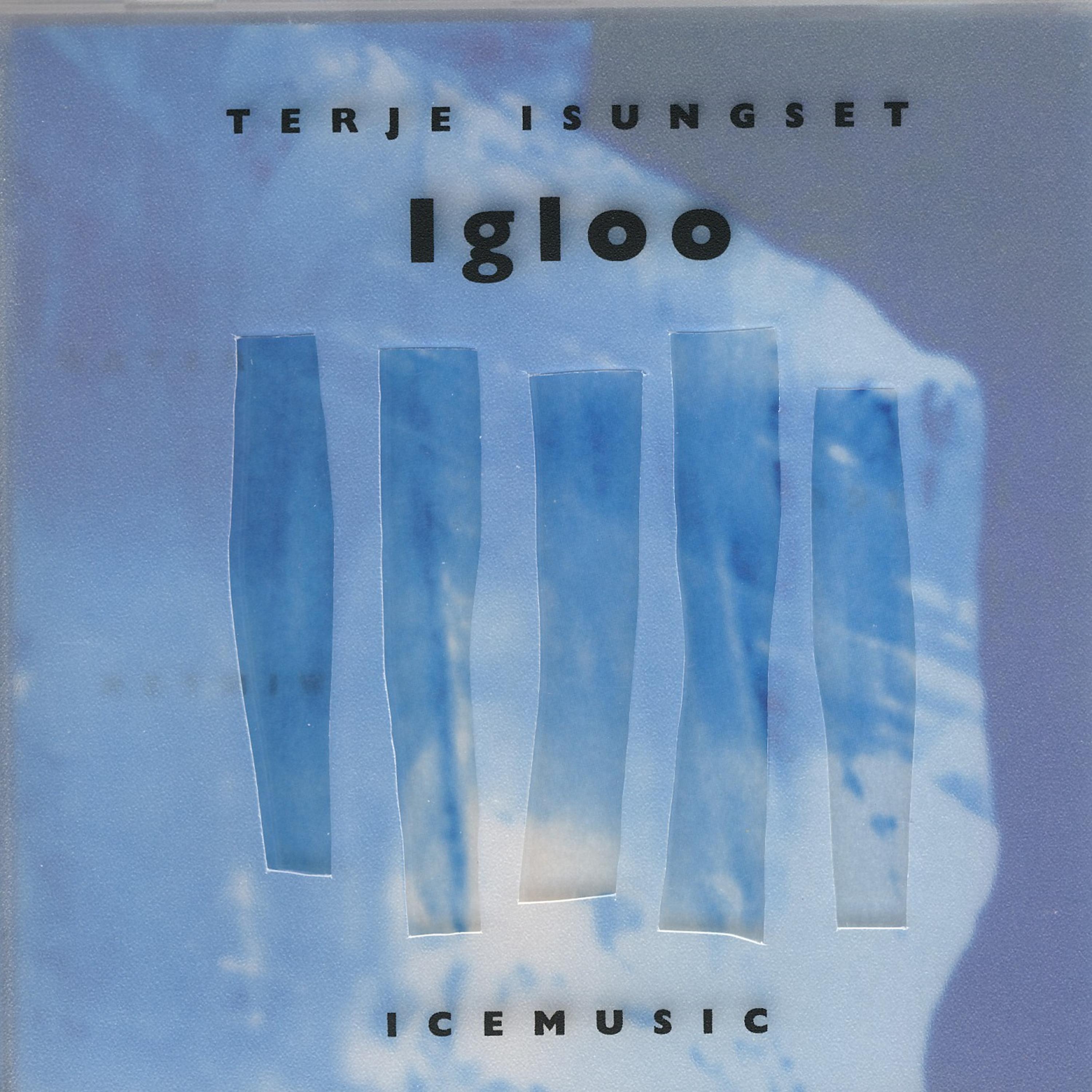 Постер альбома Igloo (Icemusic)