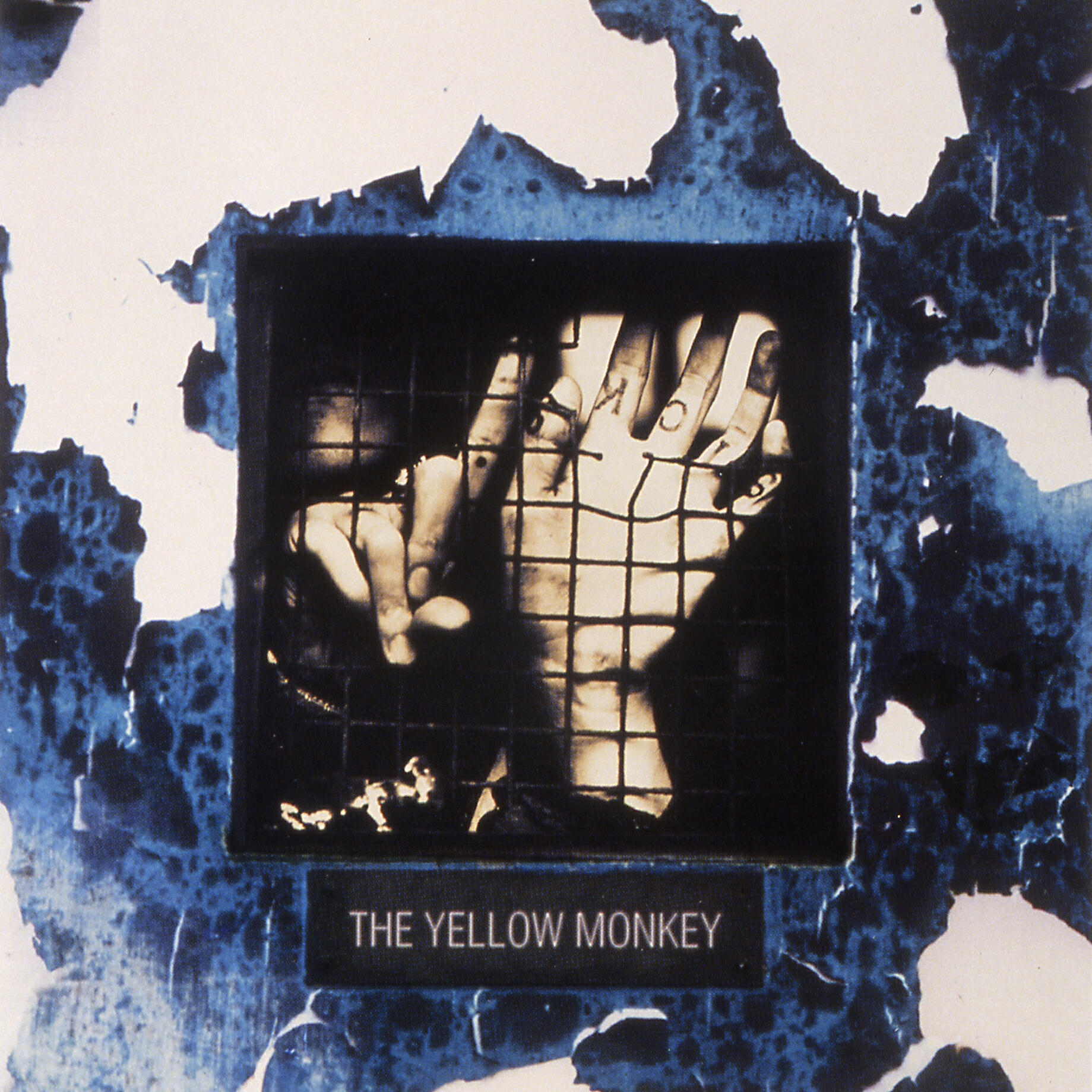 THE YELLOW MONKEY - Shower of Petals (Remastered)